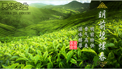 碧螺春二維碼防偽包裝 受好評(píng)變身茶葉賣點(diǎn)